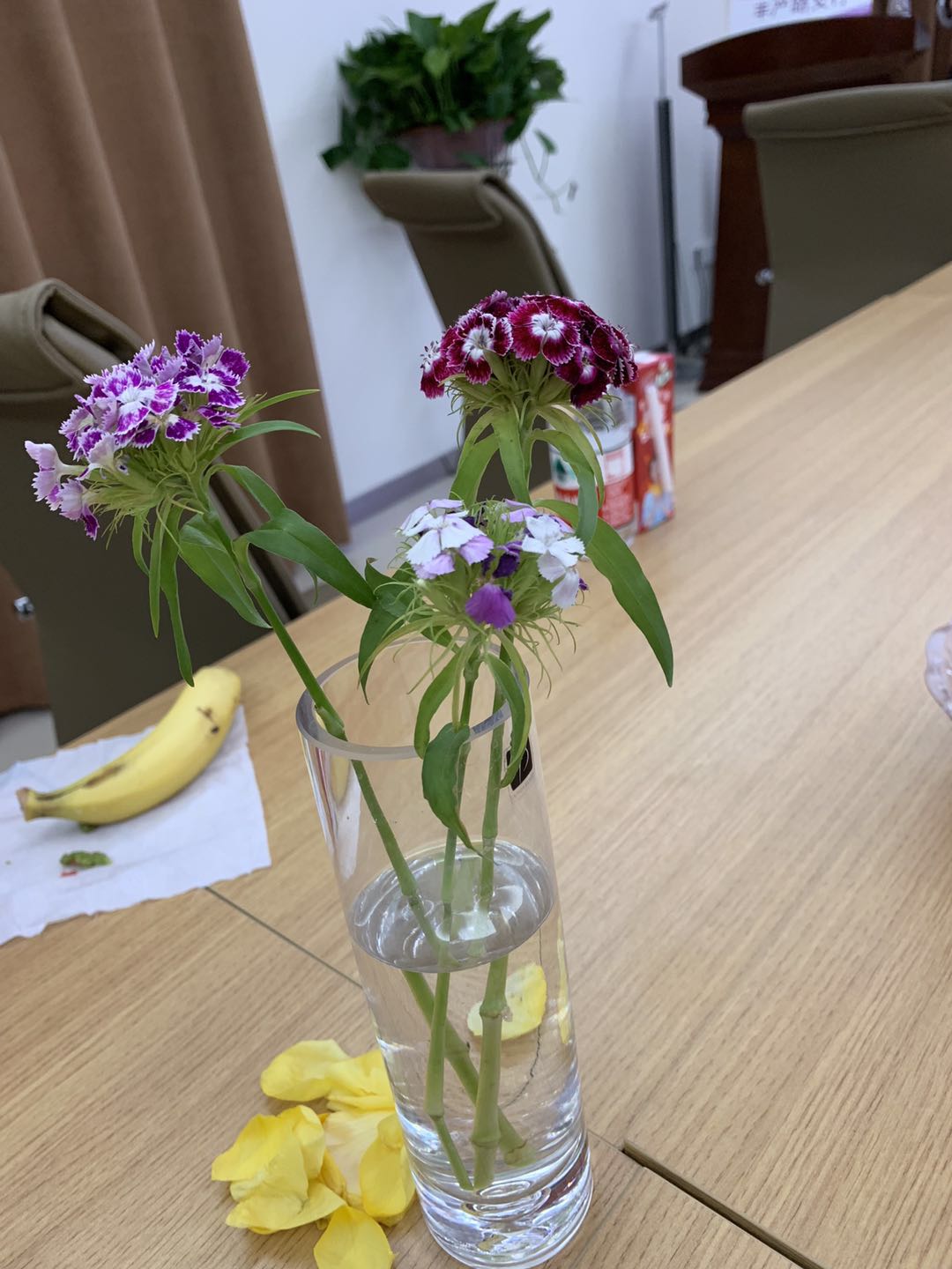 1562137161381706.jpg 微信图片_201907021905075.jpg